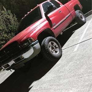 Meet your Posher, Noel